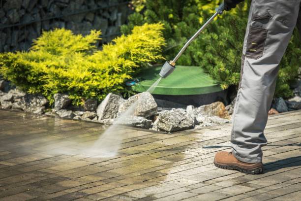 Professional Pressure Washing Services in Rogersville, AL